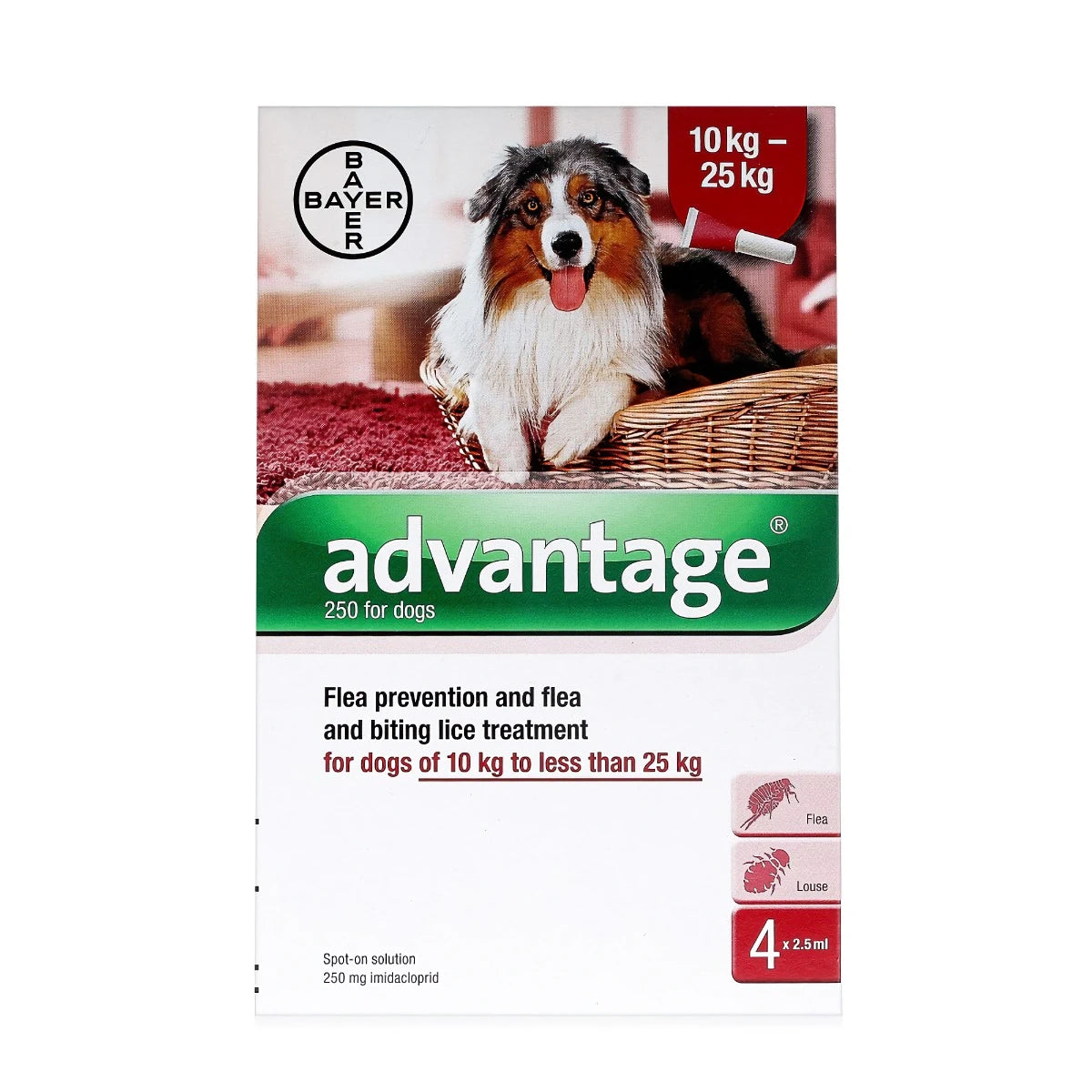 ADVANTAGE 250 Spot On for Dogs 10Kg 25Kg