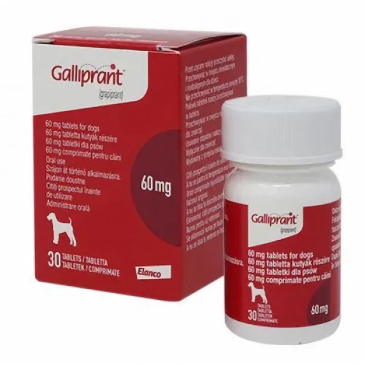 Galliprant 20mg, 60mg, 100mg Packs of 30