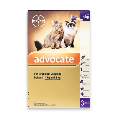Advocate 80 Spot-On For Large Cats 4Kg to 8kg