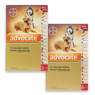 Advocate 250 Spot-On for Large Dogs 10kg-25kg