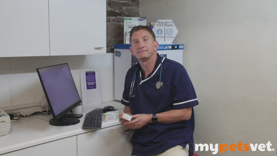 Apoquel Film-Coated Tablets For Dogs