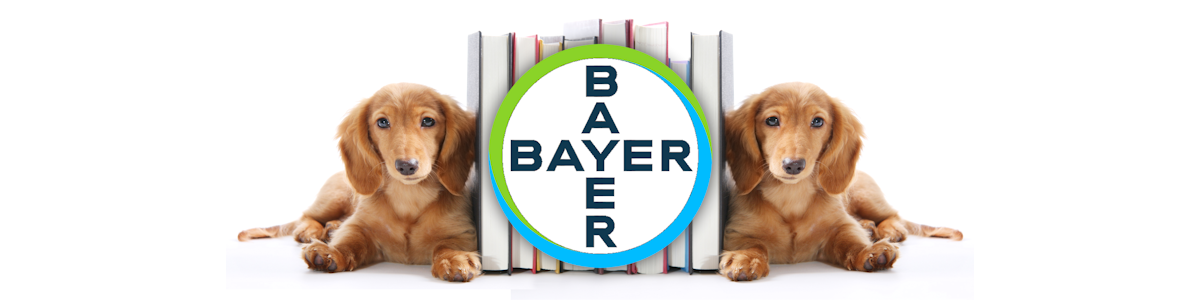 Bayer