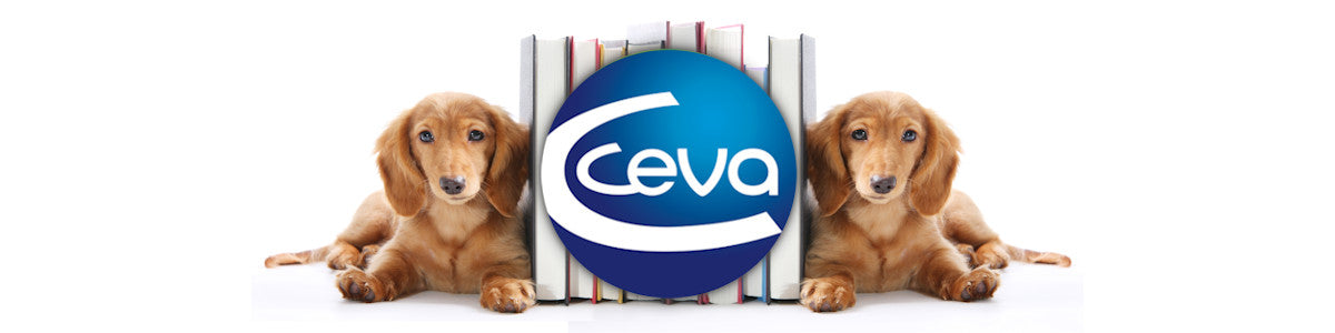 Ceva