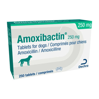 Amoxibactin for Dogs 250mg-500mg