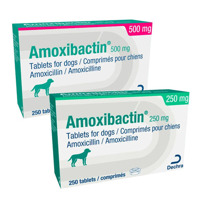 Amoxibactin for Dogs 250mg-500mg