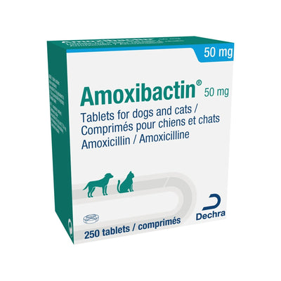 Amoxibactin 50mg for Cats & Dogs