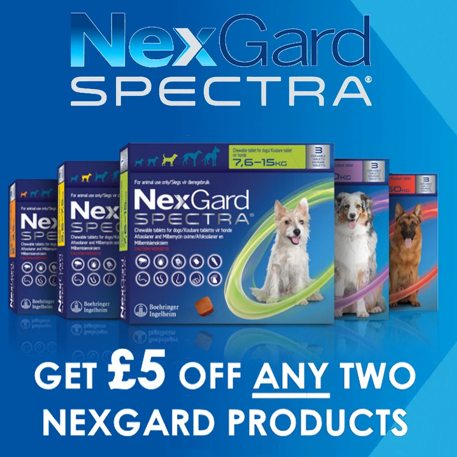 NexGard SPECTRA® Chewable Tablets for Extra Large Dogs (30kg-60kg)