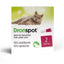 Dronspot for Cats - 2 Pipettes