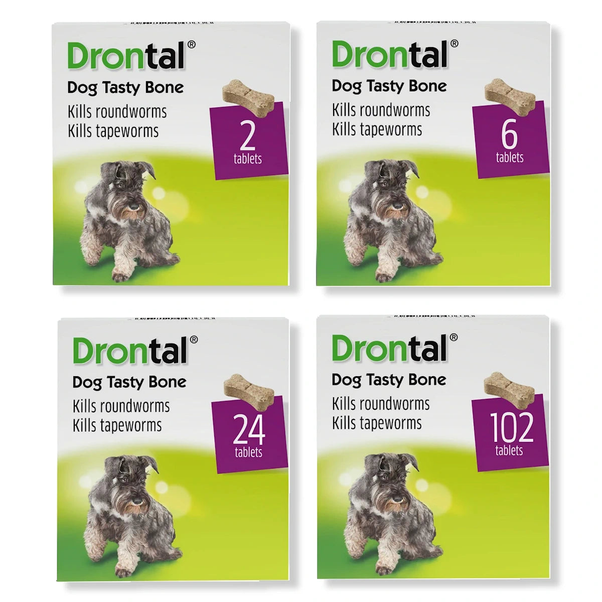Drontal for Dogs Tasty Bone Worm your dog with ease – MyPetsVet