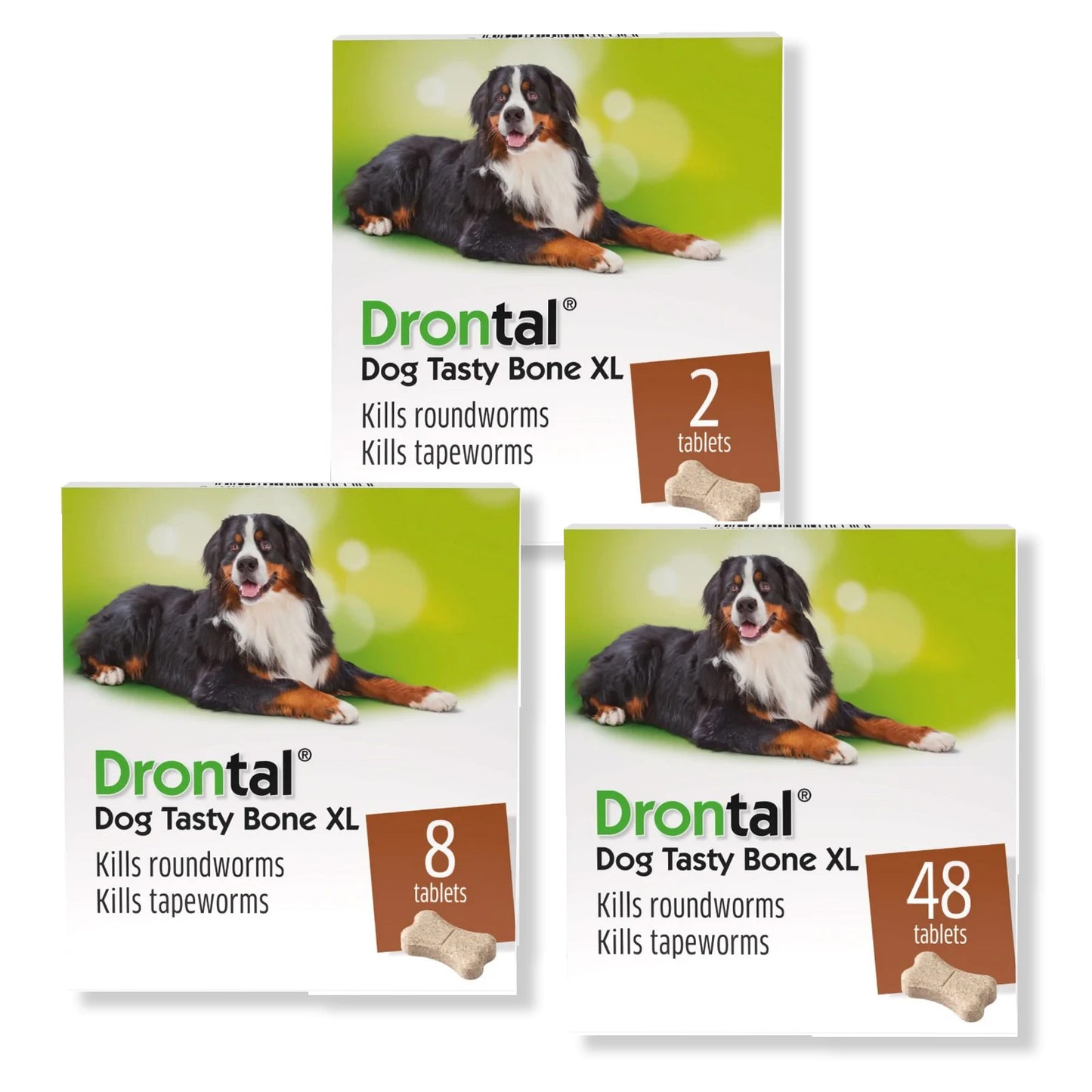 Drontal for Dogs Tasty Bone XL Worm your larger dog with ease MyPetsVet