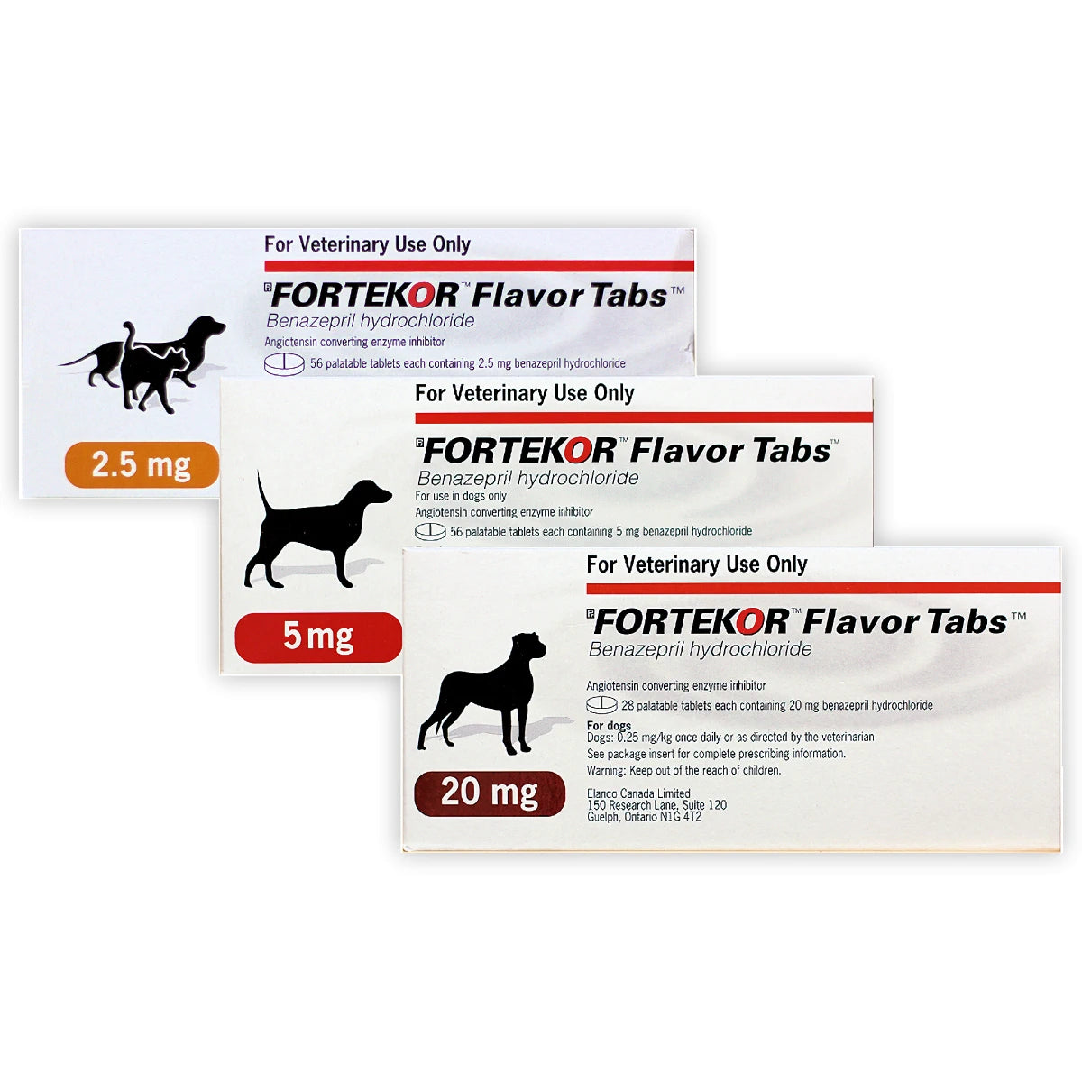Forticort Fortekor 2.5mg, 5mg & 20mg - affordable big brand pet medication ...