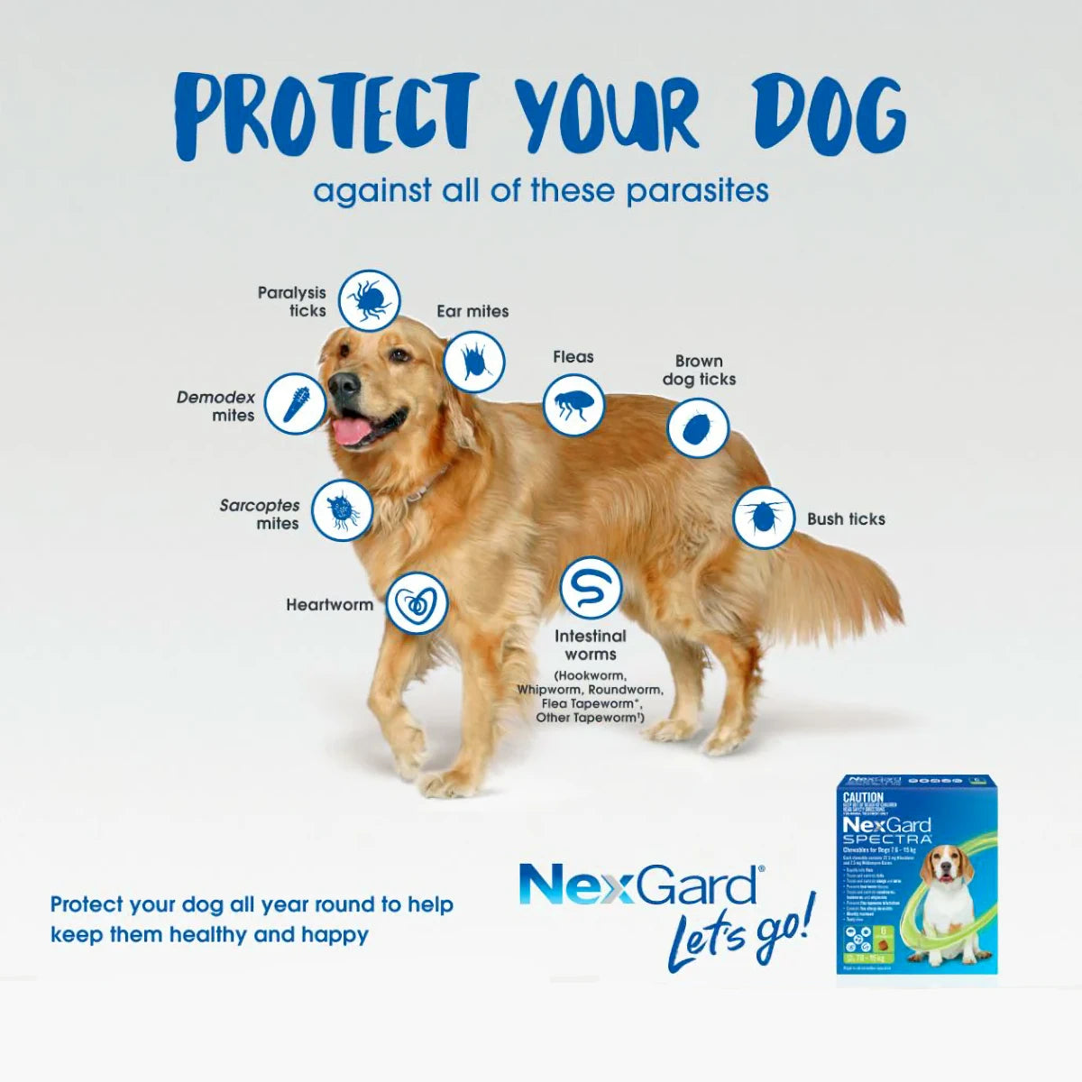 NexGard SPECTRA® Chewable Tablets for Extra Large Dogs (30kg-60kg)