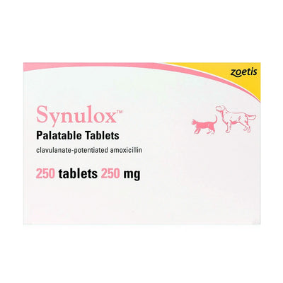 Synulox Antibiotic 250mg/500mg