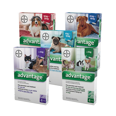 ADVANTAGE Range for Dogs Cats or Rabbits